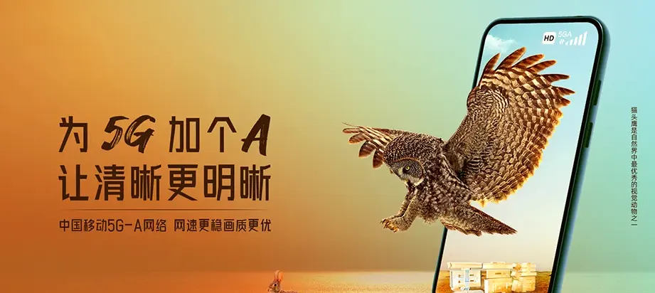 南县南县浪拔湖镇 移动宽带